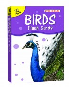 Big Flash Cards - Birds