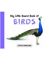My Little Board Book of Birds