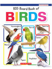 Big Board Book of Birds