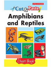 Cut & Paste - Amphibians and Reptiles